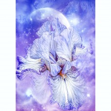 CAROL CAVALARIS COLLECTION Goddess of Dreams